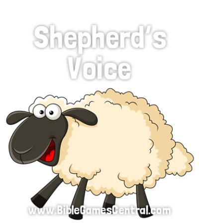 Shepherd’s Voice Youth Group and Sunday School Game